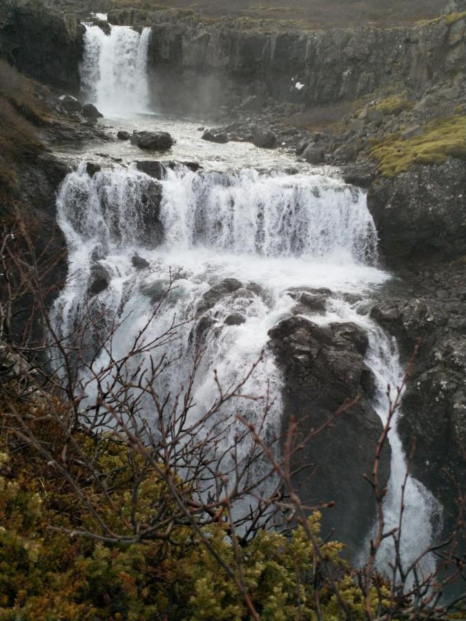 Aegisholt Privete House With Hot Tub Daire Patreksfjordur Dış mekan fotoğraf