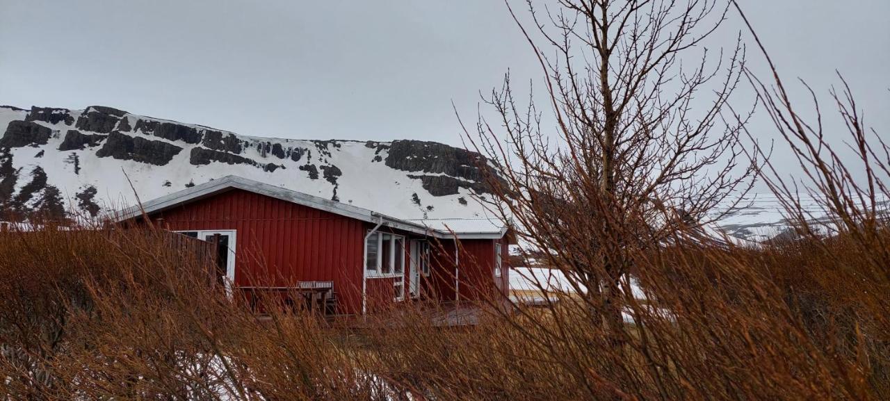 Aegisholt Privete House With Hot Tub Daire Patreksfjordur Dış mekan fotoğraf